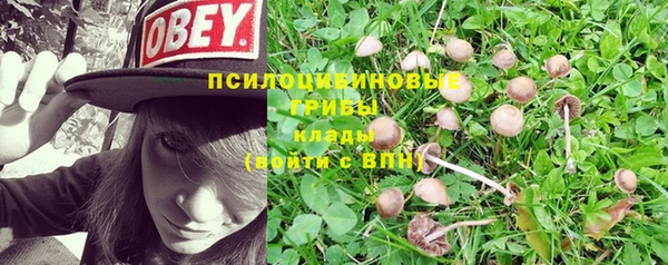spice Алзамай