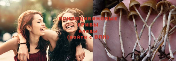 spice Алзамай